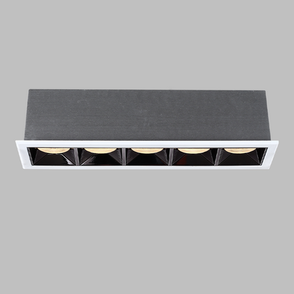 Diana D5552 5*4W 207*55*52mm Cutout: 201*49mm LED Recessed Downlight