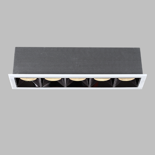 Diana D5552 5*4W 207*55*52mm Cutout: 201*49mm LED Recessed Downlight