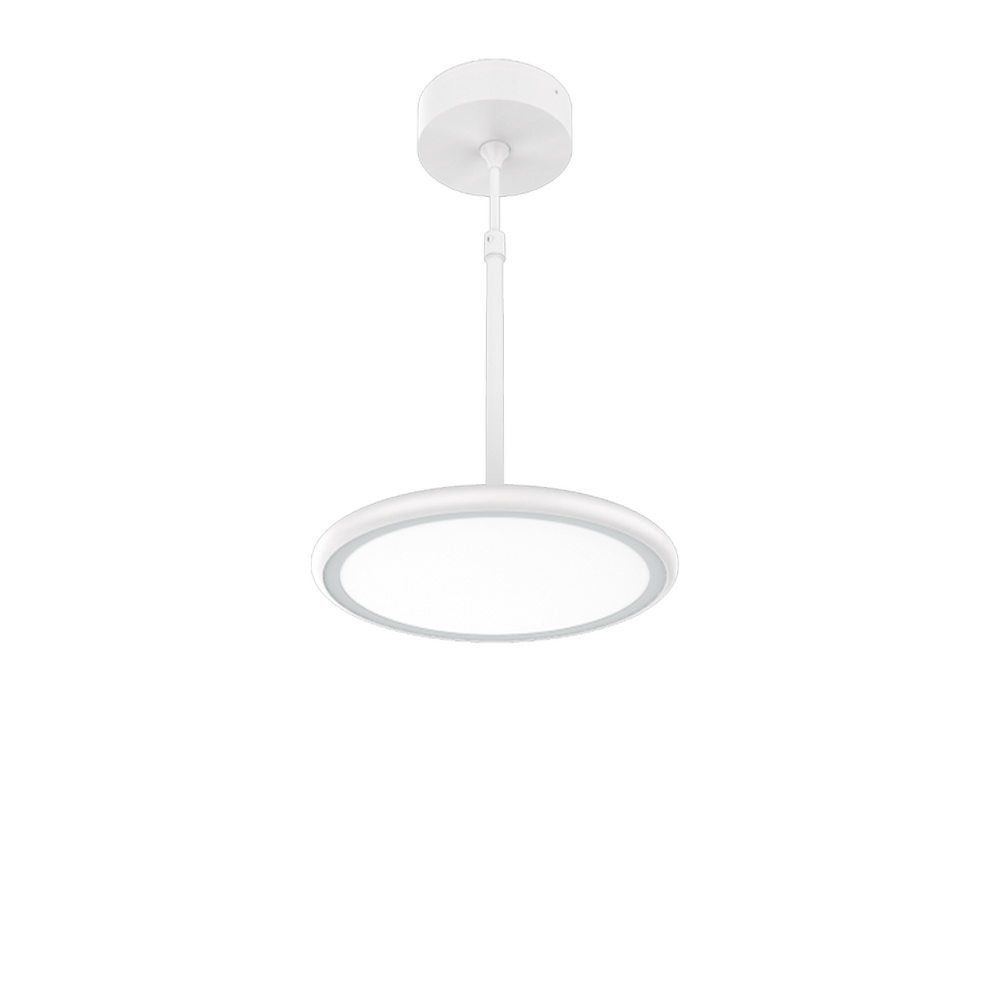 Miro Led Light Miro D130/200mm Round Panel LED Pendant Light Black/White – Greenlux ...